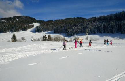 CHALET LES EPILOBES - Foto 16