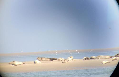 Villa St Laurent - Foto 14