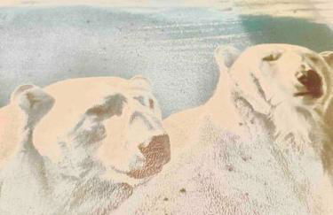 Spacious Semi-detached Southsea House, Free Parking On Drive - Photo 49