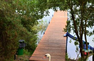 Dom Letniskowy na Kaszubach z podgrzewanym basenem - Foto 4