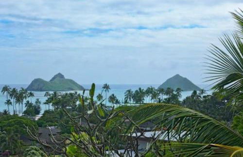 Your Perfect Home Charming 2BR2BA Apartment with Full Kitchen WD & AC - Photo 42