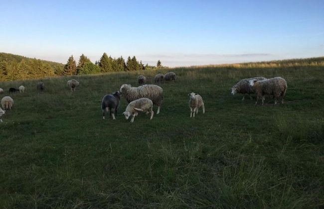 House in Bohemian Near Ski Slope - Foto 27