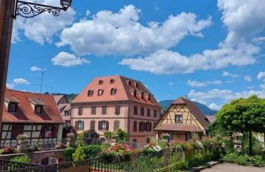 Escapade en Alsace - gîte de charme pour deux à Bergheim - Foto 23