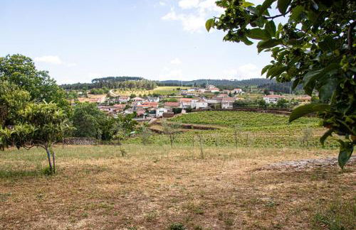 Quinta da Eira Douro Valley - Foto 19