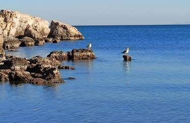 Finikas Rooms - Foto 17