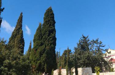 Villa Sasà - Foto 61