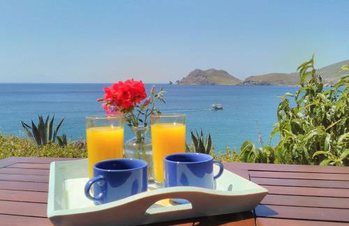 Enalion House - Photo 27