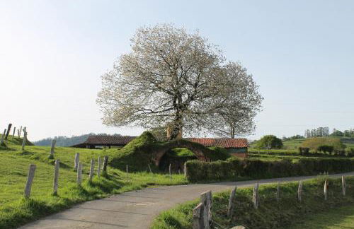 Casa de Aldea en el concejo de Nava, en el centro de Asturias - Foto 31