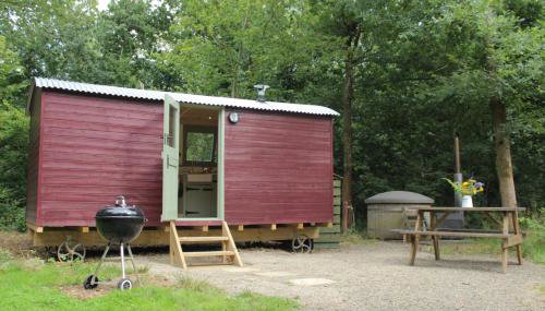 Cosy Shepherd's Hut with Hot Tub - Foto 2