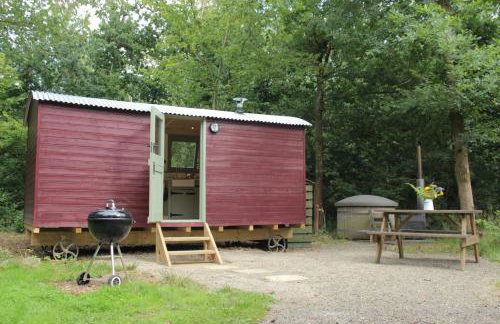 Cosy Shepherd's Hut with Hot Tub - Foto 2