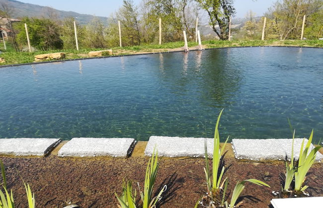 Sacreterre Room & Breakfast - Foto 24