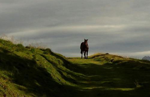 Civico 10 - Photo 26