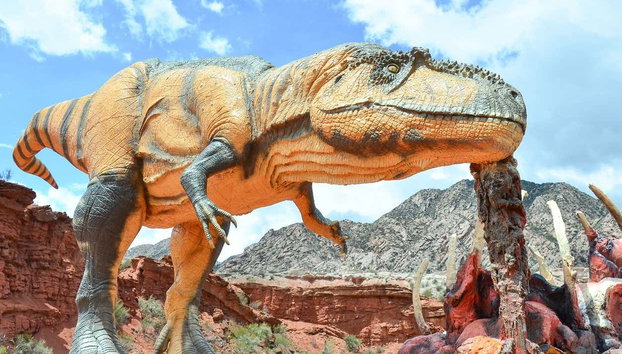 Sanagasta + Dinosaurs Park Tour - Photo 5