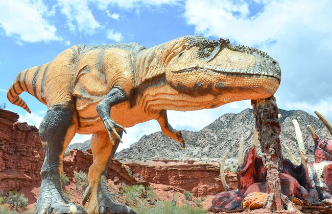Sanagasta + Dinosaurs Park Tour - Photo 5
