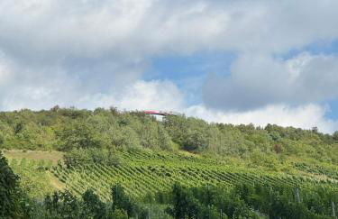 Moselgold Apartment - Foto 60