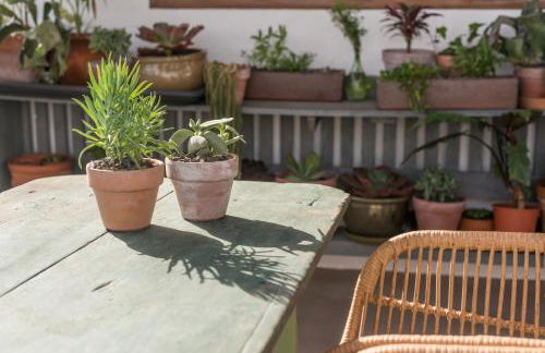 Casa Botanica - Central Island Location - 10 mins drive to Famara and La Santa - Foto 24