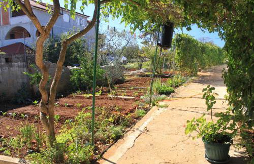 Apartments with a parking space Ugljan - 8416 - Foto 9