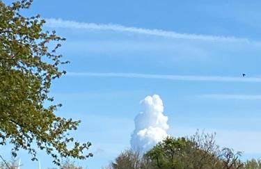 Ferienwohnungen Büffel - Foto 13