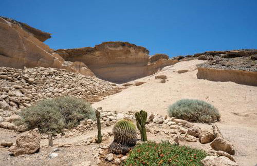 Bonito apartamento a 100 m de la playa - Foto 36
