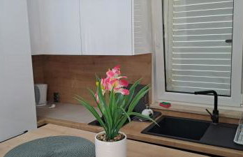 Apartments EDEN - Foto 2