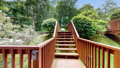 Misty Woods 03 - Foto 5