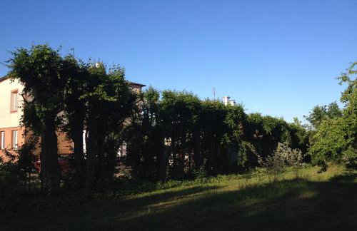 Mamrowisko - Foto 36