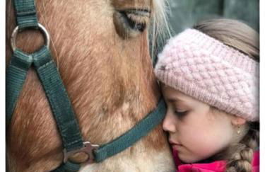 Ferienhof Ekenhoff - Foto 14