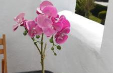 ATLANTERRA PUEBLO - Foto 26