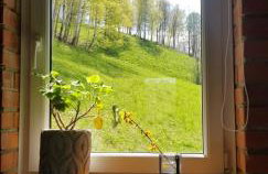 Domek za lipą - Foto 11