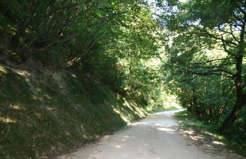 appartamento Colticciola Agriturismo Marche - Foto 21