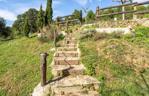 La Pallisa - Foto 22