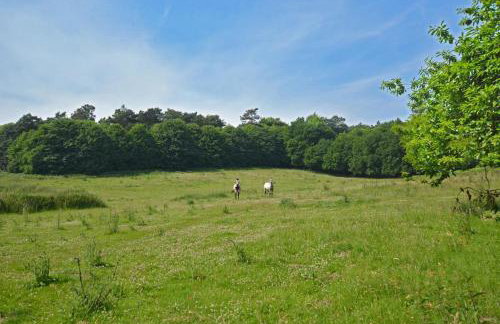 1 Bed in Northrepps oc-1736 - Foto 12