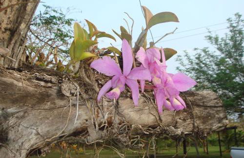Sítio Chalako, casa exclusiva às margens do Rio Mimoso - Foto 35