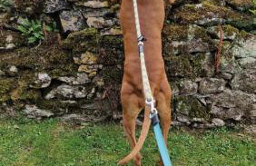 Wagtail Barn - Foto 57