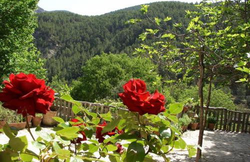 Masía La Posada del río Carbo - Photo 67