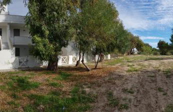 Fronte Mare - Foto 42