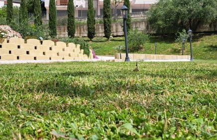 Tenuta Nonno Peppe - Foto 44