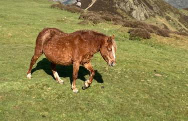 Broughshane - Foto 10