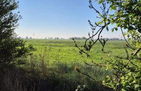 Ferienhaus Dörpblick - Foto 43