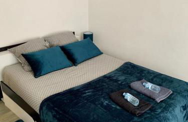 Agréable appartement 2 pieces a forbach avec Garage fermé - check in autonome - Foto 2