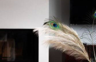 Inalia Modern House - Foto 10