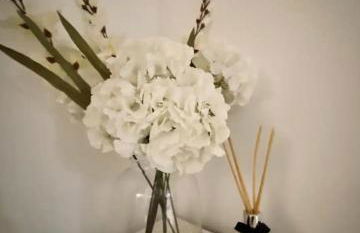 T2 cocooning near Giverny - Foto 4