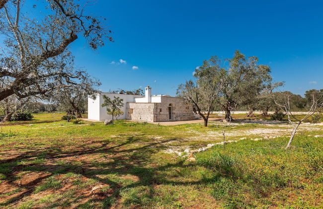 2769 Uliveto Valeria - Trullo Fico by Perle di Puglia - Foto 28
