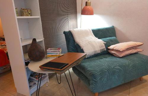 Le Figuier appart 2-3 pers en plein vignoble avec piscine privée à 30mn des gorgesdu Verdon et des plages - Foto 7