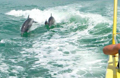 Retro by the Bay Close to Beach Eglin PetFriendly - Foto 11