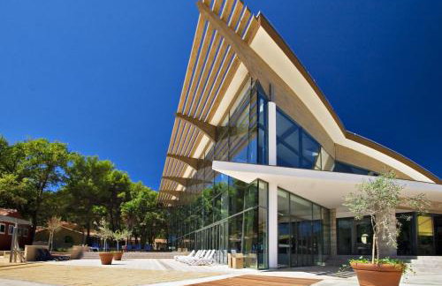 Apartments Amfora Plava Laguna - Foto 61