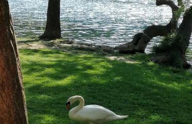 Modern penthouse Ivan with rooftop swimming pool and jacuzzi - Foto 40