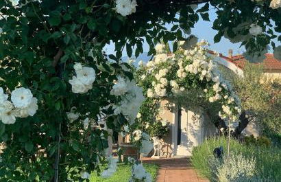 Casa le valli - Foto 6