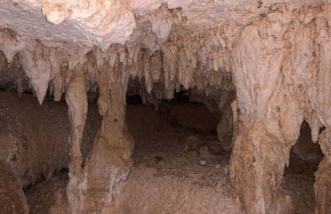 Visite des grottes de Bonaire avec snorkeling - Photo 6