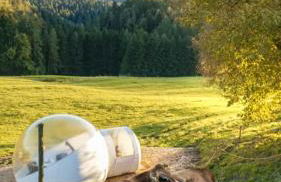 Hansjörgenhof Bioland-Hof - Foto 25